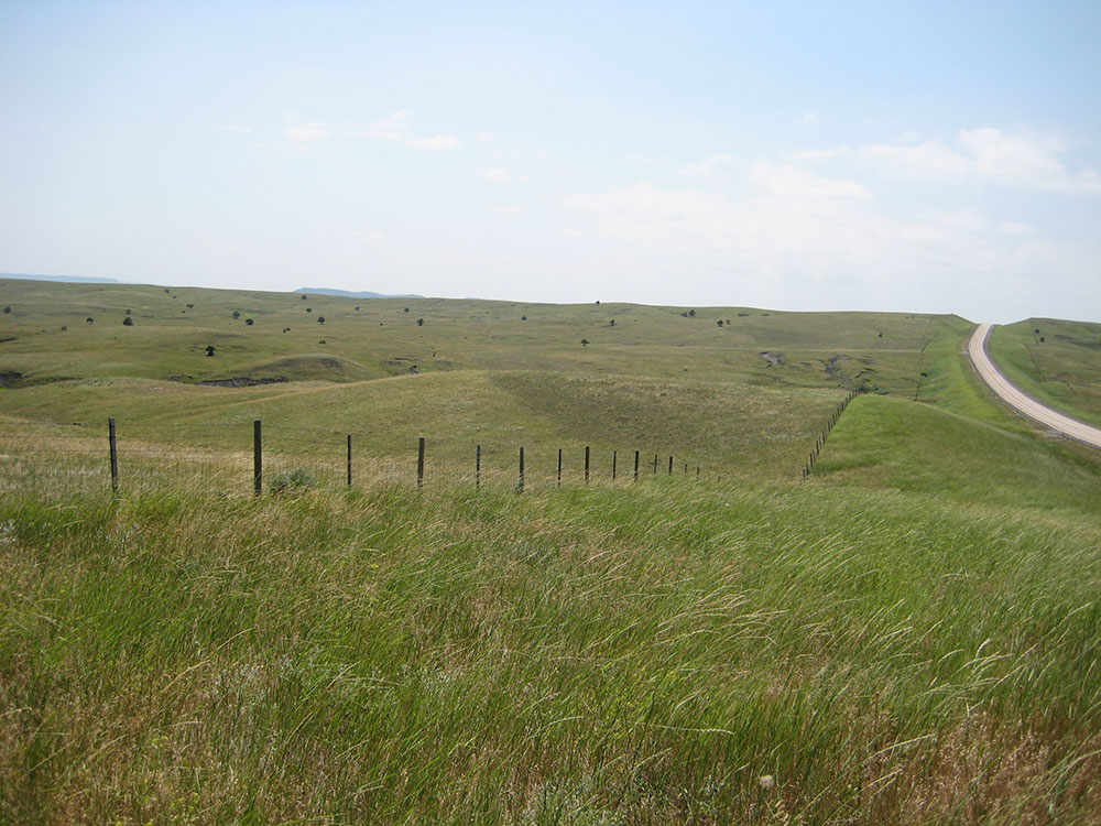 Black Hills South Dakota ranch land for sale Snook & Sons Realty